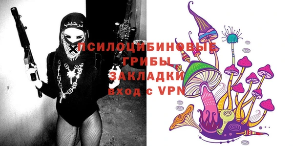 амф Алексин