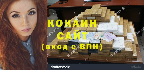 дмт Алзамай