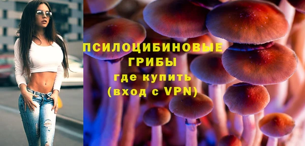 прущая мука Ельня