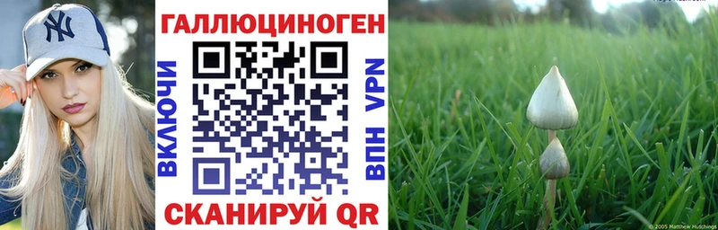 где продают наркотики  KRAKEN вход  Галлюциногенные грибы Psilocybe  Бахчисарай 